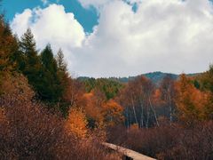 -苏木山森林公园