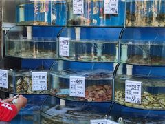 水产区-海之味海鲜大咖·家常菜
