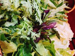 蔬菜大拼-阳坊大都涮羊肉(阳坊总店)