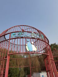 -大美儿童世界(奥林匹克水上公园店)
