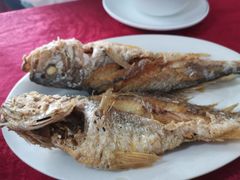 -蛇口康乐快餐鱼仔档(翠苑小区店)