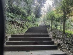 -凤栖山