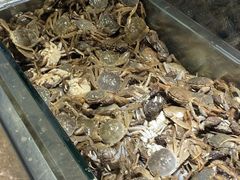 -欢乐牧场海鲜烤肉自助(牡丹园店)