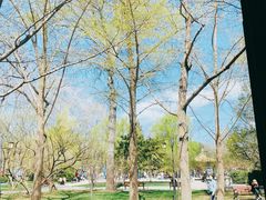 -申德勒加油站西餐厅(日坛路总店)