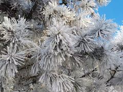 -中旅松花湖滑雪场