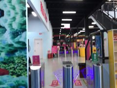 -嘿哟动霸CHUA·新潮玩运动娱乐中心·蹦床滑冰团建乐园