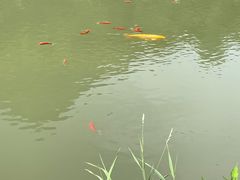 -本溪大峡谷