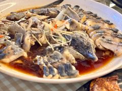 清蒸鲟鱼-京北渔家傲