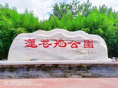 -莲花池公园