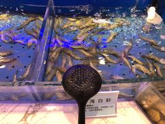 -澜悦港海鲜体验主题餐厅