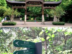 -杭州半山国家森林公园