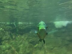 -常州海昌海洋探索馆