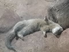 -苏州海洋馆