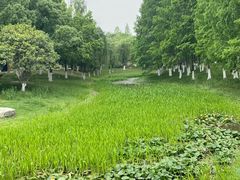 -武汉园博园(武汉自然博物馆)
