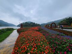 -广州市石门国家森林公园