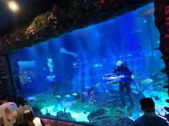 -沈阳海洋探索中心