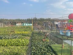 -小鱼草莓采摘园农家乐·小鱼餐厅