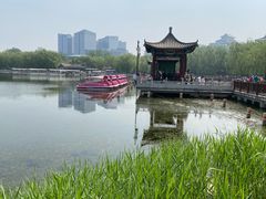 -莲花池公园