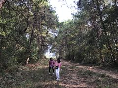 -青龙山国家森林公园
