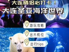 -大连圣亚海洋世界