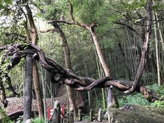 -严子陵钓台(富春江小三峡)