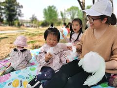 -两河城市森林公园