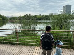 -美兰湖景区