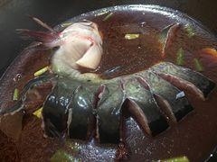 乌江鱼-铁锅炖活鱼