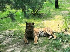 -北京野生动物园