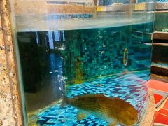 -顺峰海鲜酒楼(省府店)