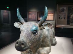 -宁夏博物馆
