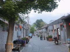-玫瑰红烤羊排(北新桥三条店)