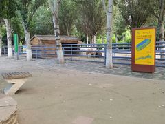 -长白岛森林公园