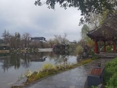 -北湖公园