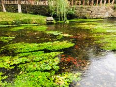 景点-水磨沟公园