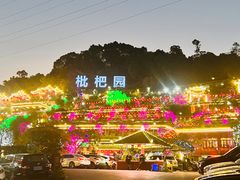 -枇杷园食为鲜火锅(南山店)
