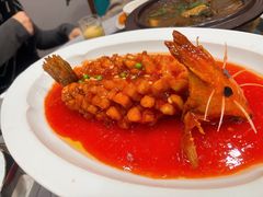 -丁老爷子苏香圆