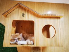 -猫和宫(六道口店)