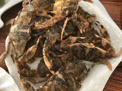 -红星渔村(将军石店)