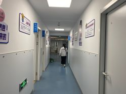 -温州伯思立医院