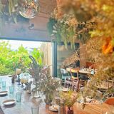 苏州plmm都在这家森系餐厅过生日🎂