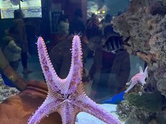 -海合安武汉极地海洋公园