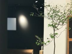 -长春银盐咖啡馆