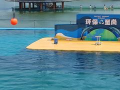 -秦皇岛乐岛海洋王国