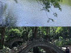 -洛阳白云山景区