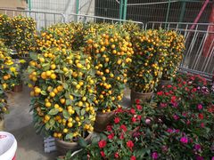 -深圳市罗湖体育馆