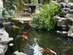 -道南書院·私房菜·早午茶·茶馆