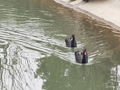 -中国傩城