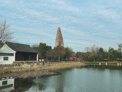 -西溪国家湿地公园