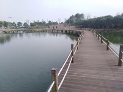 -水八仙生态园